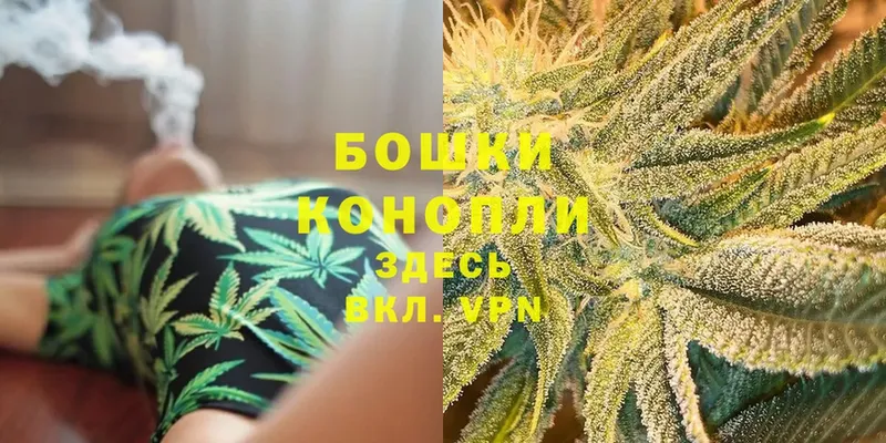 Шишки марихуана Ganja  MEGA сайт  Котовск  наркошоп 